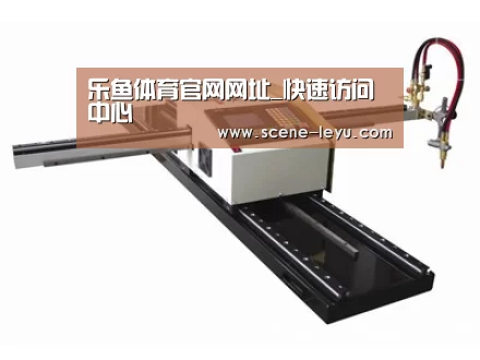案例展示一