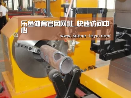 产品名称十三