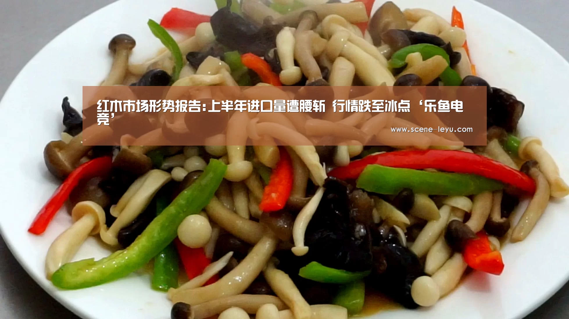 乐鱼电竞